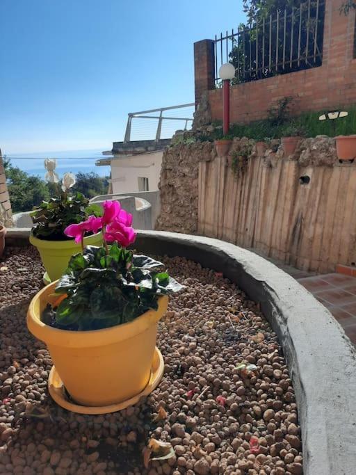 Torre Del Meridiano Casa Vacanze Centrale Termoli Exteriér fotografie